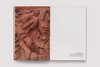 Clementine Keith Roach   Christopher Page  Earth Sky Body Ruins  Exhibition Catalogue 4