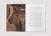 Soojin Kang   Monograph   2023 3